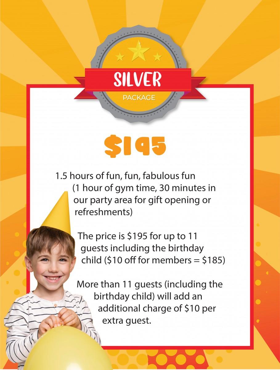 BirthdayParties_WebGraphics-Silver22